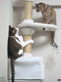 IMG04960.jpg