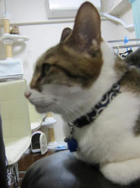 IMG04961.jpg