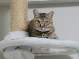 IMG04963.jpg