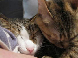 IMG01951.jpg