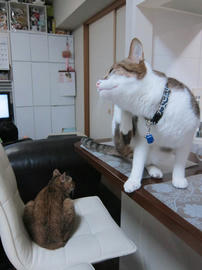 IMG04965.jpg