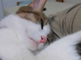 IMG04966.jpg