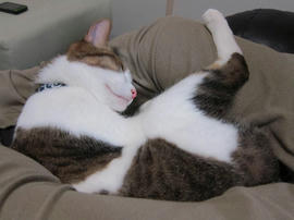 IMG04967.jpg