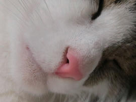 IMG04969.jpg