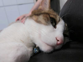 IMG04971.jpg