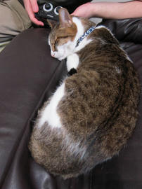 IMG04973.jpg
