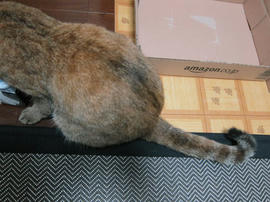 IMG04980.jpg