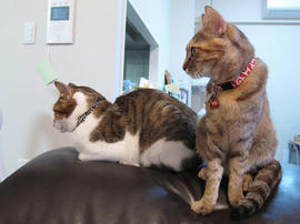 IMG01962.jpg