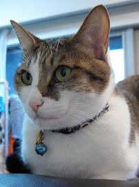 IMG01965.jpg