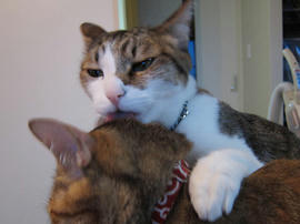 IMG01958.jpg