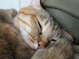 IMG04983.jpg