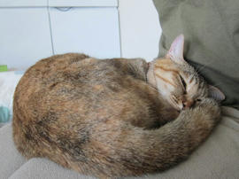 IMG04984.jpg