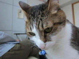 IMG04986.jpg