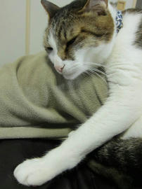 IMG04987.jpg