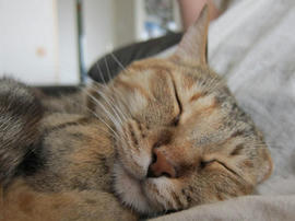 IMG04988.jpg