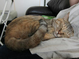 IMG04989.jpg