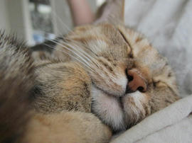 IMG04990.jpg