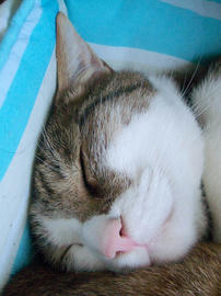 IMGP13704.jpg