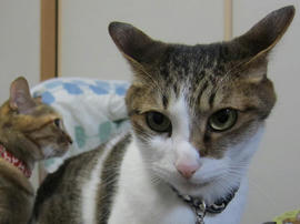 IMG04994.jpg