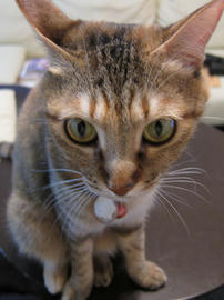 IMG01984.jpg