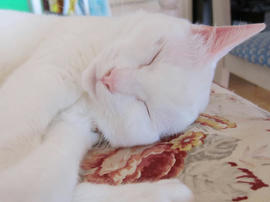IMG04997.jpg