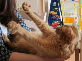 IMG04999.jpg