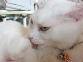 IMG05006.jpg