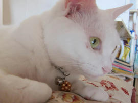 IMG05007.jpg