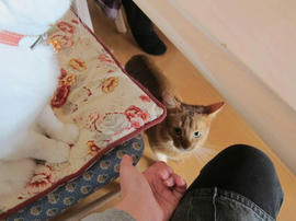 IMG05010.jpg