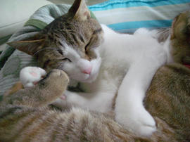 IMGP11032.jpg