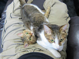 IMG05039.jpg