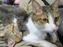IMG05040.jpg