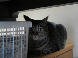 IMG05017.jpg
