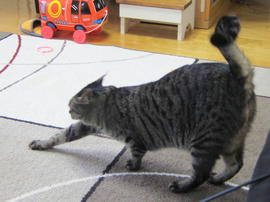 IMG05019.jpg