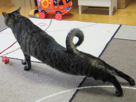 IMG05020.jpg