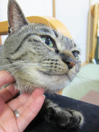 IMG05028.jpg