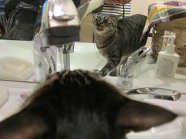 IMG05031.jpg