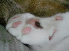 IMGP11039.jpg