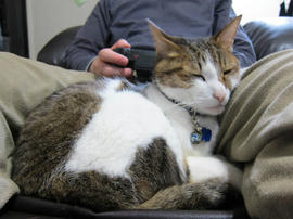IMG05044.jpg