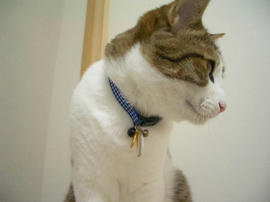 IMGP11056.jpg
