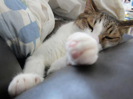 IMG05050.jpg