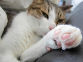 IMG05051.jpg