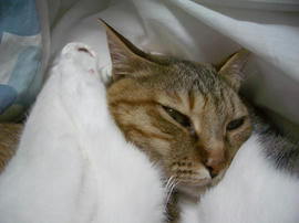 IMGP13743.jpg