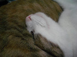 IMGP13744.jpg