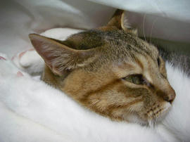 IMGP13745.jpg