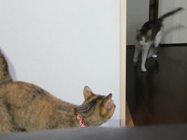 IMG05054.jpg