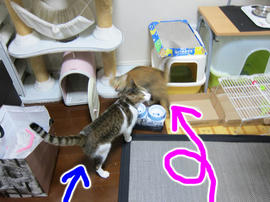 IMG05055.jpg