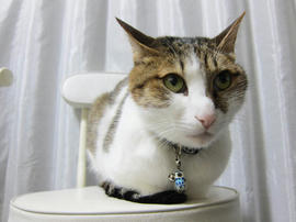 IMG05057.jpg
