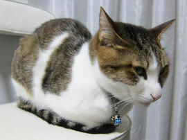 IMG05059.jpg