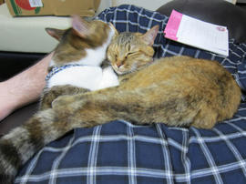 IMG05060.jpg